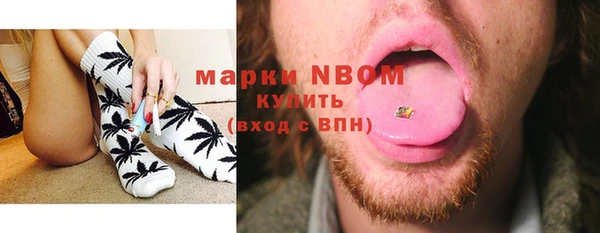 мдпв Гатчина