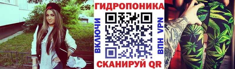 купить   Катайск  дарк нет официальный сайт  Каннабис White Widow 